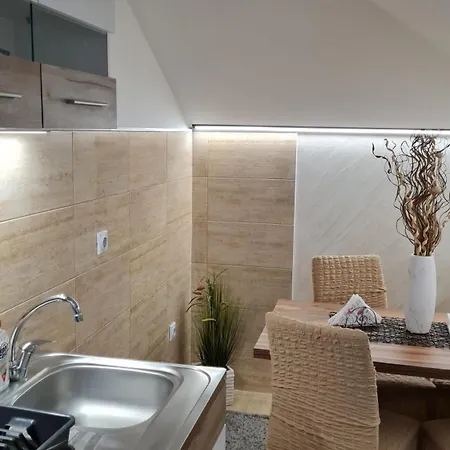 Apartment Marija Soko Banja